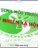 Bài 36: Vệ sinh môi trường - Bài giảng điện tử Tự nhiên xã hội 3 - L.K.Chi