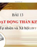 Bài giảng Hoạt động thần kinh - Tự nhiên xã hội 3- GV. N.T.Sỹ