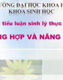 QUANG HỢP VÀ NĂNG SUẤT