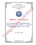 Khóa luận tốt nghiệp Quản trị kinh doanh: Hoạch định chiến lược marketing điện tử cho công ty TNHH MTV Khai thác dữ liệu số bData