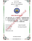 Khóa luận tốt nghiệp Quản trị kinh doanh: Mối quan hệ giữa năng lực kinh doanh của doanh nhân và kết quả kinh doanh của doanh nghiệp: Trường hợp nghiên cứu tại VNPT Thừa Thiên Huế