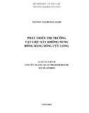 Luận án Tiến sĩ Quản trị kinh doanh: Phát triển thị trường vật liệu xây không nung đồng bằng sông Cửu Long