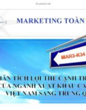 PHÂN TÍCH LỢI THẾ CẠNH TRANH CỦA NGÀNH XUÁT KHẨU CAO SU VIỆT NAM SANG TRUNG QUỐC