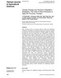 Climate change and farmers’ adaptation strategies: The case of rice producers in Nghe An province, Vietnam