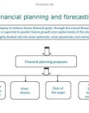 Financial planning and forecasting