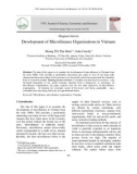 Development of microfinance organisations in Vietnam