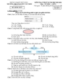 Đề thi học kì 2 môn Tin học lớp 6 năm 2023-2024 - Trường THCS Nguyễn Văn Trỗi, Phú Ninh