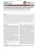 A putative lytic transglycosylase tightly regulated and critical for the EHEC type three secretion