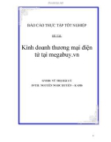 Báo cáo tốt nghiệp: Kinh doanh thương mại điện tử tại MEGABUY.VN