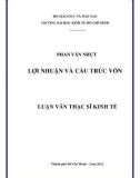 Luận văn Thạc sĩ Kinh tế: Lợi nhuận và cấu trúc vốn