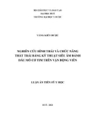 Luận án Tiến sĩ Y học: Nghiên cứu hình thái và chức năng thất trái bằng kỹ thuật siêu âm đánh dấu mô cơ tim trên vận động viên