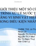 Giới thiệu một số công trình xử lý nước thải bằng vi sinh vật hiếu khí trong điều kiện nhân tạo