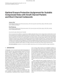 Báo cáo hóa học: Optimal Erasure Protection Assignment for Scalable Compressed Data with Small Channel Packets and Short Channel Codewords