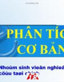 Phân tích dự báo kinh doanh tiền tệ