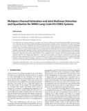 Báo cáo hóa học: Multipass Channel Estimation and Joint Multiuser Detection and Equalization for MIMO Long-Code DS/CDMA Systems