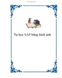 Tự học SAP bằng hình ảnh