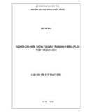 Luận án Tiến sĩ Kỹ thuật điện: Nghiên cứu hiện tượng từ giảo trong máy biến áp lõi thép vô định hình