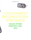 E-GOVERNMENT IMPLEMENTATION STRATEGIES