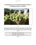 Báo cáo nghiên cứu nông nghiệp Investigations into the Pomelo Supply Chains in the Mekong Delta in Vietnam 