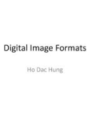 Lecture Steganography: Digital image - Ho Dac Hung