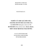 Luận án Tiến sĩ Công nghệ sinh học: Nghiên cứu hiệu quả điều hòa enzyme chuyển hóa glucose của lá xoài non (Mangifera indica L.) và rễ me keo (Pithecellobium dulce (Roxb.) Benth.) trên chuột bệnh đái tháo đường