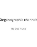 Lecture Steganography: Steganographic - Ho Dac Hung