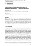 Capabilities, Processes, and Performance of Knowledge Management: A Structural Approach