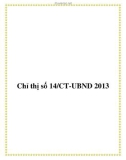 Chỉ thị số 14/CT-UBND 2013