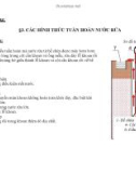 CÁC HÌNH THỨC TUẦN HOÀN NƯỚC RỬA