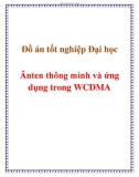 Đồ án tốt nghiệp Đại học Ănten thông minh và ứng dụng trong WCDMA