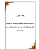 LUẬN VĂN: Công tác phòng ngừa tội phạm do người chưa thành niên gây ra trên địa bàn tỉnh Điện Biên