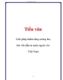 Luận văn: Giải pháp nhằm tăng cường thu hút vốn đầu tư nước ngoài vào Việt Nam