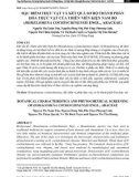 Đặc điểm thực vật và kết quả sơ bộ thành phần hóa thực vật của Thiên niên kiện Nam Bộ (Homelomena cochinchinensis Engl., Araceae)