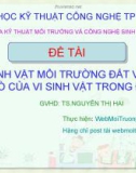 Vi sinh vật môi trường đất và vai trò của vi sinh vật trong đất