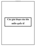 Các giai đoạn của tên miền quốc tế