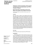 Detection of Swine Dysentery (SD) caused by Brachyspira hyodysenteriae via PCR in Northern Vietnam