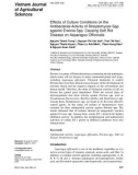 Effects of culture conditions on the antibacterial activity of Streptomyces spp. against Erwinia spp. causing soft rot disease on asparagus officinalis