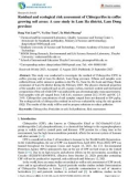 Residual and ecological risk assessment of Chlorpyrifos in coffee growing soil areas: A case study in Lam Ha district, Lam Dong province