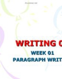 PARAGRAPH WRITING