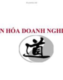 Bài giảng Văn hóa doanh nghiệp - GV. Lê Việt Hưng