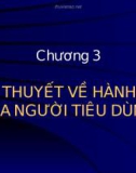 Kinh tế vi mô : thuyết về hành vi của người tiêu dùng