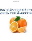 Bài giảng Nghiên cứu marketing: Chương 3 - ThS. Vũ Thịnh Trường