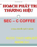 Kế hoạch phát triển thương hiệu SE-Coffee