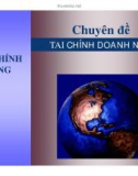 Bài giảng Chuyên đề: Tài chính doanh nghiệp - Tài chính công