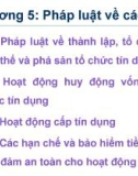 Bài giảng Pháp luật tài chính và ngân hàng - Chương 5: Pháp luật về các tổ chức tín dụng