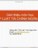 Bài giảng Pháp luật tài chính ngân hàng - ThS Luật Trịnh Ngọc Đức