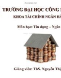 TỔNG QUAN VỀ NHTM TRONG NỀN KINH TẾ THỊ TRƯỜNG