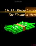 Financial Management - Chapter 14