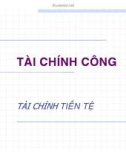 Bài giảng Tài chính tiền tệ: Tài chính công - ĐH Kinh tế TP.HCM