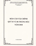 Báo cáo tài chính quý 2 và 6 tháng đầu năm 2018 - Công ty cổ phần Việt Nam Kỹ nghệ Súc sản